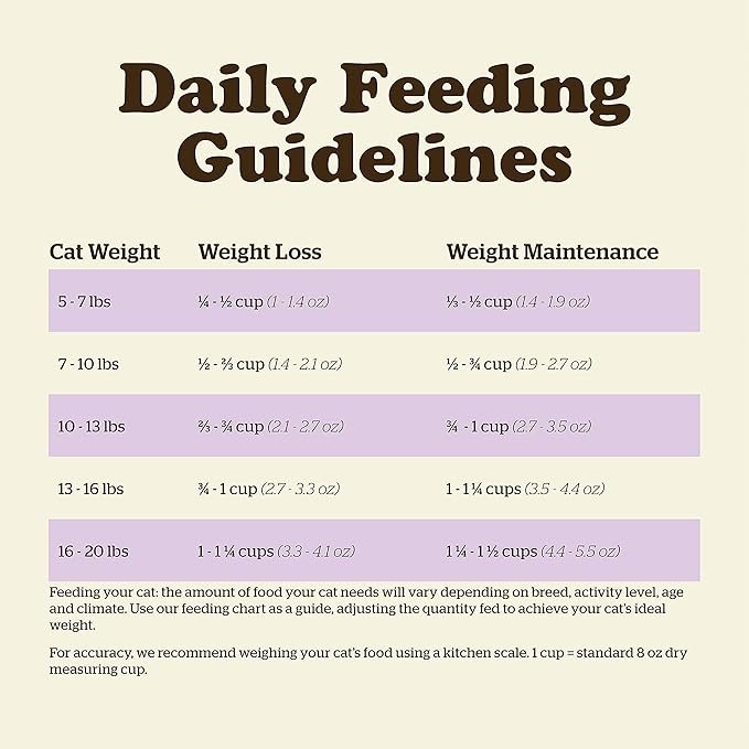 Now Fresh Grain-Free, Dry Cat Food, Turkey, Salmon and Duck Kibble, Real Meat and Fish Senior Recipe, 3 lb Bag