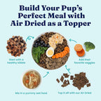 Solid Gold Air Dried Dog Food Toppers for Dry Food - Healthy Dog Treats w/Real Chicken & Superfoods - Serve as a Complete Meal, Topper or Treats - Supports Muscle Growth, Immunity & Digestion - 2lb