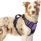 rabbitgoo Dog Harness Medium Sized, No Pull Pet Harness with 3 Buckles, Adjustable Soft Padded Vest with Control Handle, Walking Reflective Pet Vest for Medium Dogs, Purple, M