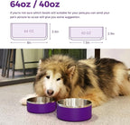 LIHONG Stainless Steel Dog Bowls for Small Medium Sized Dogs Non Slip,Insulated Dog Bowl,Pet Bowl for Food and Water,Rustproof(40oz,Purple)