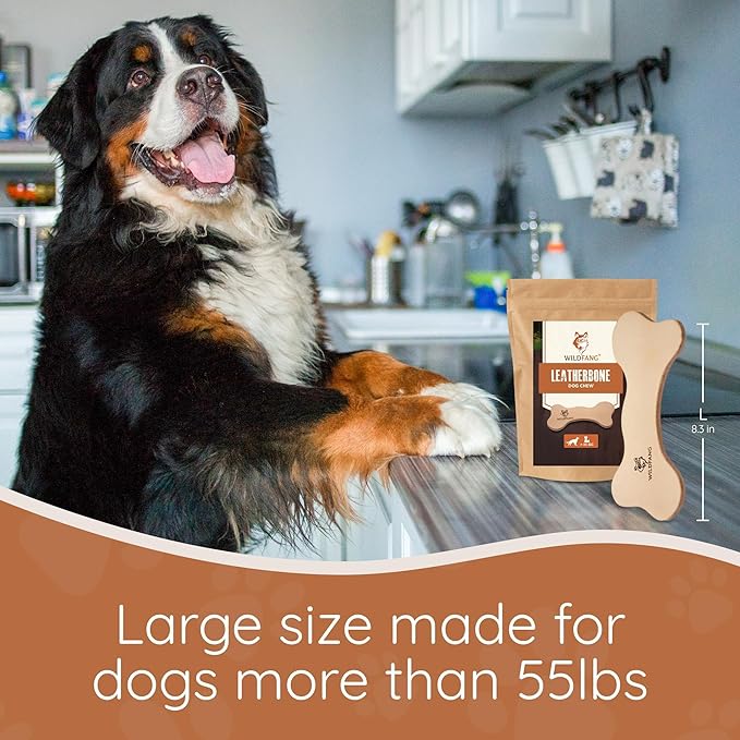 Wildfang® Leather Dog Toy, Large - Leather Bone for Teething Dog, Dental Toys for Puppies, Training for Chewing Muscles, Puppy Chew Bones for Light or Medium Chewers (for Dogs Over 33 lbs), Pack of 1