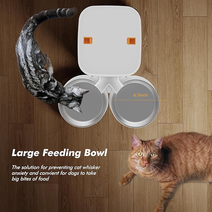 Automatic Cat Feeder for 2 Cats - 8L/34 Cups Large Capacity Auto Food Dispenser with LCD Screen, 2 Food Trays, Timed Cat Feeder, Up to 50 Portions 6 Meals Per Day, Keep Fresh