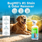 BugMD Enzyme Cleaner for Dog & Cat Urine | Pet Stain and Odor Remover for Carpet & Home | Unscented Urine Destroyer & Deodorizer