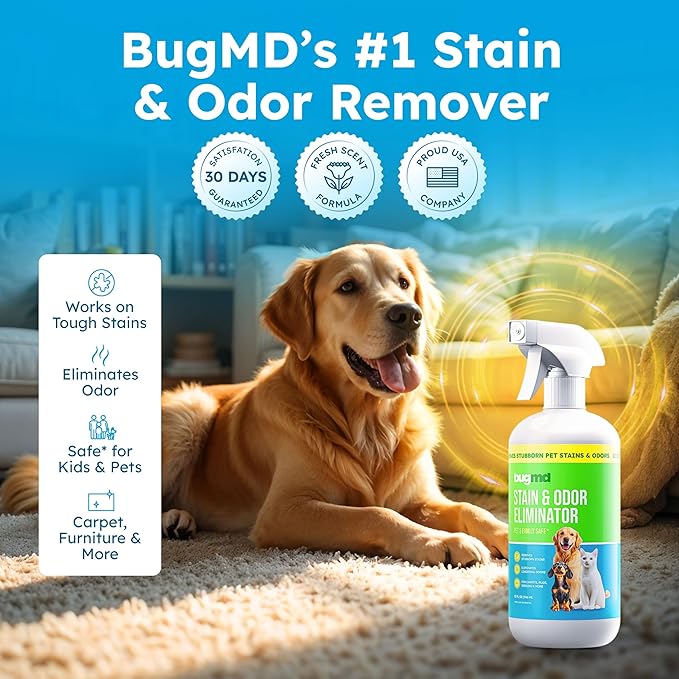 BugMD Enzyme Cleaner for Dog & Cat Urine | Pet Stain and Odor Remover for Carpet & Home | Unscented Urine Destroyer & Deodorizer