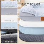 Orthopedic Dog Bed with Memory Foam - Luxurious Plush Surface, Removable & Washable Cover, Non-Slip Bottom, Dog Sizes (Small)