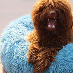 Small Dog Donut Bed for Small Dogs Machine Washable,Calming Donut Blue Dog Bed for Small Puppy with Anxiety，with Fluffy Soft and Comfy Faux Fur Cuddler Pet Bed for Small Pets