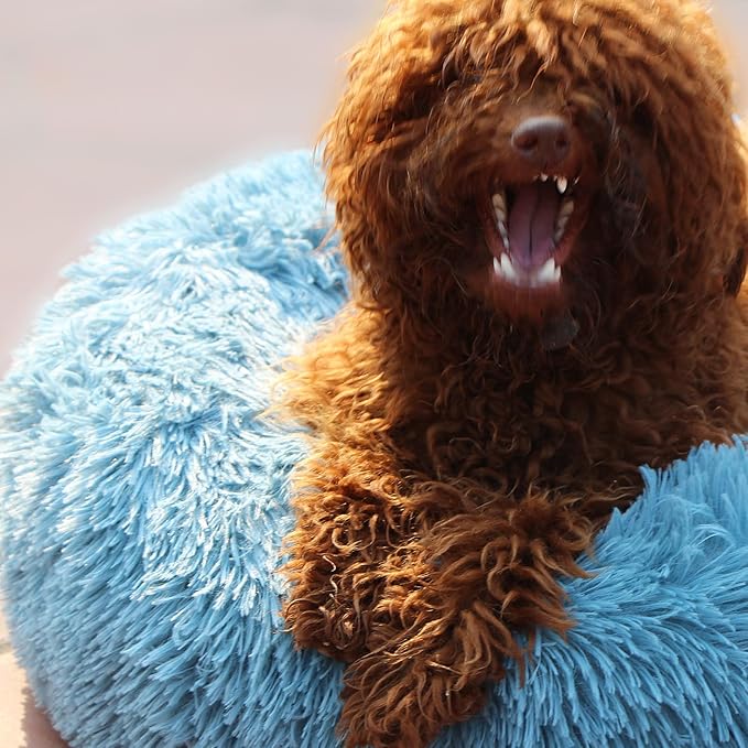 Small Dog Donut Bed for Small Dogs Machine Washable,Calming Donut Blue Dog Bed for Small Puppy with Anxiety，with Fluffy Soft and Comfy Faux Fur Cuddler Pet Bed for Small Pets