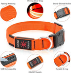 Illumifun Light Up Dog Collar, USB Rechargeable LED Dog Collar, Adjustable Lighted Safety Collar for Nighttime Walking Camping (Orange, Medium)
