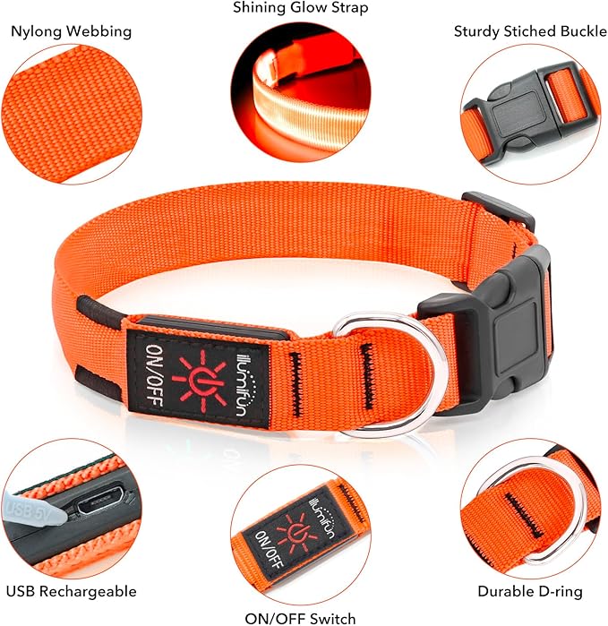 Illumifun Light Up Dog Collar, USB Rechargeable LED Dog Collar, Adjustable Lighted Safety Collar for Nighttime Walking Camping (Orange, Medium)