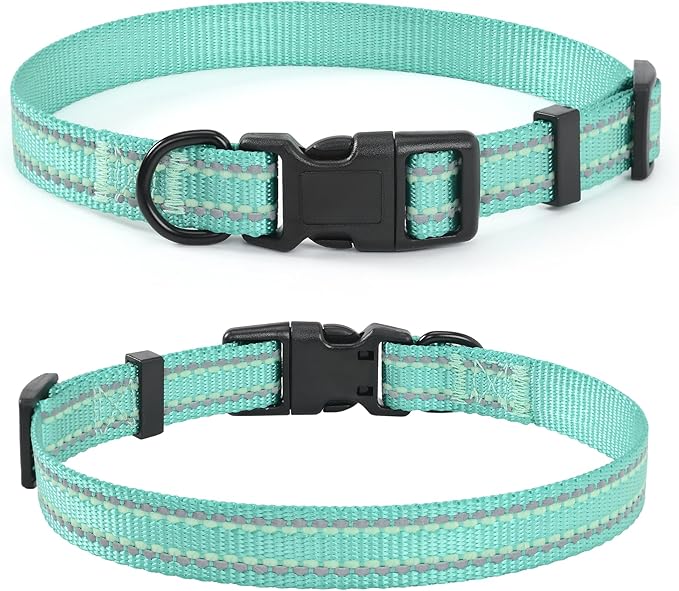 Mile High Life Nylon Night Light Glow Collar, Reflective Light Up Dog Collar, Fluorescent Self-Luminescent Strap for Small Medium Large Dogs (Green, L Neck15-19")