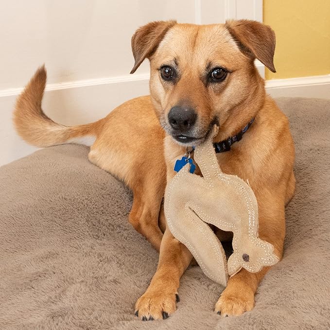 SPOT Dura-Fused Leather Fox Dog Toy – Real Leather & Jute Fabric, Double-Stitched & Durable, Squeaky Interactive Chew Toy for Moderate Chewers, Small & Medium Dogs, Soft Stuffed Fetch Toy, 7.5in