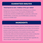 Nutramax Proviable Probiotics for Dogs, Daily Digestive Health Supplement with Multiple Strains of Bacteria, Dog Probiotics Plus Prebiotics, 60 Chewable Tablets
