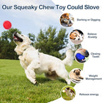 2 Pack Indestructible Squeaky Dog Balls for Aggressive Chewers, Interactive Dog Toys for Teething, Relieving Anxiety. Chew Toy for Large, Medium Breeds, Outdoor Rubber Balls.