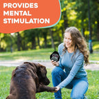 Flourish Pets 2 in 1 Multi-Layer Chew Toy for Active Dogs | Non-Toxic BPA Free Double Stitched Soft Fabric Exterior Dog Toys | Long-Lasting Dog Plush Toys – Love Frog/Love Gorilla 3.5"