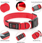 Illumifun Light Up Collar for Dogs, Rechargeable LED Dog Collar, Adjustable Safety Pet Collar Lights for Night Walking (Red, Large)