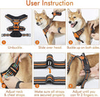 rabbitgoo Dog Harness No Pull with 2 Leash Clips, Adjustable Soft Padded, Reflective Oxford No Choke Pet Vest with Easy Control Handle for Large Dogs, Orange, XL