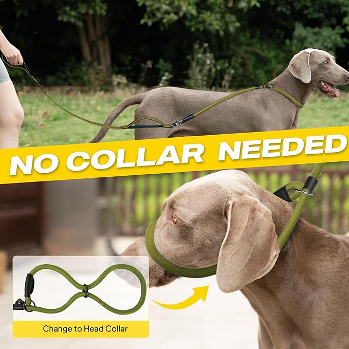 Fida 2-in-1 Slip Leads for Dogs with Double Handles, Tangle Free Leash for Large Dogs That Pull, Heavy Duty No Pull Training Leash Reflective Soft Padded for Large & Medium Breed(6ft,Green)