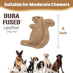 SPOT Dura-Fused Leather Squirrel Dog Toy – Real Leather & Jute Fabric, Double-Stitched & Durable, Soft Stuffed Squeaky Interactive Chew Toy for Moderate Chewers, Small & Medium Dogs, 8in