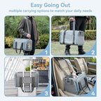 Petsfit Small Cat Carrier Soft Airline Approved Expandable Carrier for Kitten Puppy Bunny, 16"X10"X9“