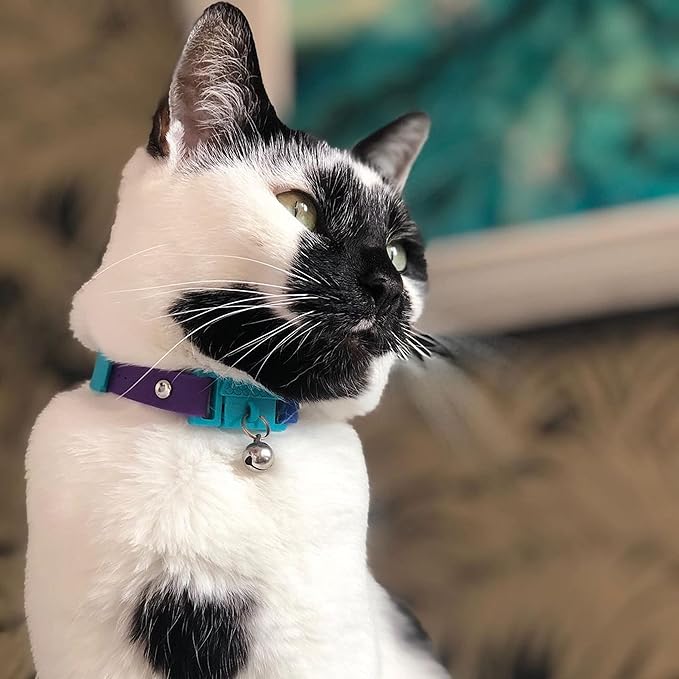 Kittyrama Monte Carlo Cat Collar with Bell. Breakaway Collar. Won't Rub Fur. Lightweight, Soft & Comfy
