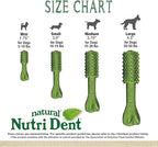 Nylabone Nutri Dent Dog Dental Treats - Natural Dog Teeth Cleaning & Breath Freshener - Dental Treats for Dogs - Fresh Breath Flavor, Medium (40 Count)