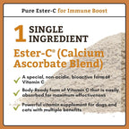 Wholistic Pet Organics Pure Ester-C Powder for Dogs - 1 Lb - Healthy Alternative to Dog Allergy Chews - Vitamin C Supplement for Dog Allergy Relief, Immune Support, Itch Relief for Dogs - Made in USA