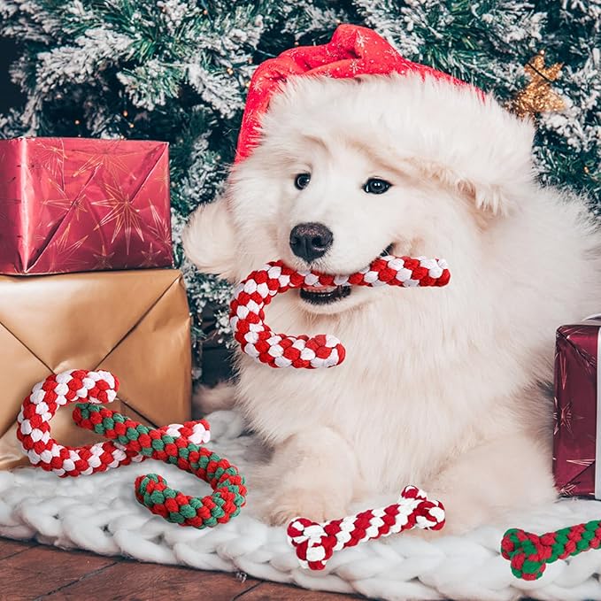 SCENEREAL Christmas Dog Toys, Durable Crutch Bone Rope Toys 4 Pack, Bite Resistant Chew Toy for Teething Cleaning, Xmas Element Rope Toy for Puppy Small Medium Large Dogs