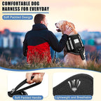 Service Dog Vest Harness+ID Tag+10 Patches,Metal Serivce Dog Tag&Reflective Emotional Support Dog Vest with Handle for Large Dogs,Easy Put On/Off for Training/Walking/Everyday Black XL