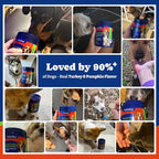 Flea and Tick Prevention for Dogs Chewable - 180 Soft Chews, Turkey & Pumpkin Flavor - Dog Flea and Tick Treatment Chewable, Natural Defense - Dog Immune Support Supplement