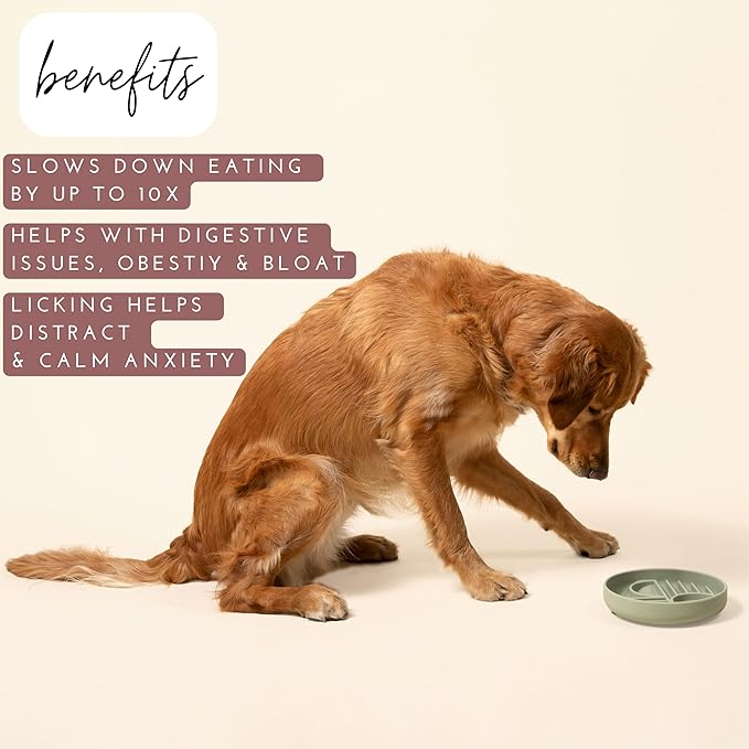 The Slowdown Bowl Silicone Slow Feeder for Dogs & Puppies, Slow Eating Modern Lick Mat Design Reduces Gulping, Fits 2 Cups 7.5” Across x 1.5” Tall, Mealtime Challenge, Medium-Blush