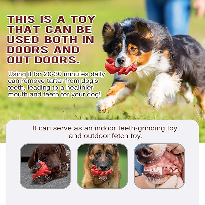 LiuMelinda Dog Chew Toys for Aggressive-Chewers - Indestructible Dog Toy for Aggressive Chewer，Tough Chew Toys for Dogs （Nylon Red-Lobster）