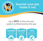 Solid Gold Canned Dog Food for Adult & Senior Dogs - Made with Real Lamb and Healthy Whole Grains - Hund-N-Flocken High Calorie, High Protein Wet Dog Food
