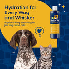 NaturVet Pet Electrolyte Concentrate for Dogs and Cats, 16 oz Liquid Concentrate, Made in The USA with Globally Source Ingredients