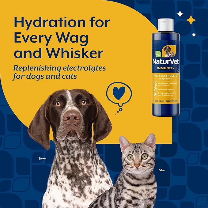 NaturVet Pet Electrolyte Concentrate for Dogs and Cats, 16 oz Liquid Concentrate, Made in The USA with Globally Source Ingredients