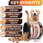 (2 Pack) Mushroom for Dogs - 340 Chews - Turkey Tail - Mushroom Supplement for Dogs - Lions Mane - Reishi - Immunity Support Multivitamin Vitamins - Joint Health - Energy - Gut - Skin - Made in USA