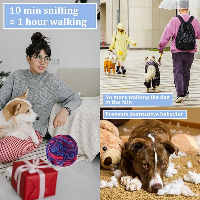 Snuffle Ball for Dogs, Sniffle Interactive Treat Toy, Washable Puppy Treat Toy, Foraging Puzzle Ball Toy, Mind Games for Dogs, Enrichment Dog Toys