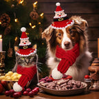 2 Pcs Cat Christmas Costume Cat Santa Hats with Scarf Pet Hat Scarf Set Pet Christmas Outfit Party Costume Supplies for Cats Small Dogs Puppy Accessories(Red,Santa Claus Style)