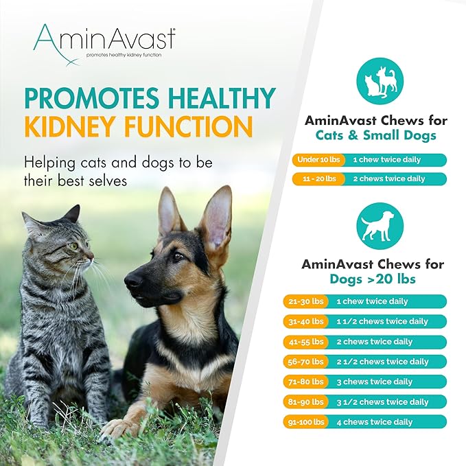 AminAvast Small Dogs & Cat Kidney Support - Promotes Healthy Kidney Support in Cats & Small Dogs - 300mg (60 Chews)