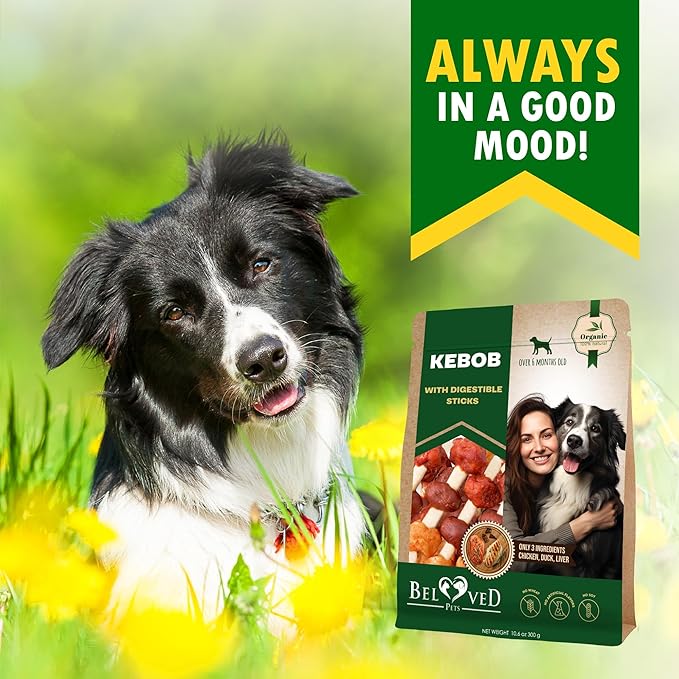 Beloved Pets Dog Treats Rawhide-Free Kabobs with Duck & Chicken Human Grade Meat 11 oz - All Natural Pet Dried Snacks & Grain Free Long Lasting Chews for Large & Small Dogs - Supports Healthy Teeth