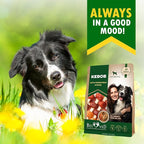 Beloved Pets Dog Treats Rawhide-Free Kabobs with Duck & Chicken Human Grade Meat 11 oz - All Natural Pet Dried Snacks & Grain Free Long Lasting Chews for Large & Small Dogs - Supports Healthy Teeth