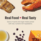 The Honest Kitchen Grain Free Minced Salmon & Cod in Fish Broth Gravy Wet Cat Food, 2.8 oz x12