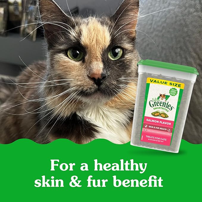 Greenies Feline Smartbites Skin & Fur Health Crunchy and Soft Cat Treats, Salmon Flavor, 16 oz. Tub