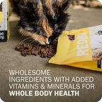 Redbarn Air Dried Powerfood for Cats with Real Chicken – Made in USA High Protein, Grain-Free Dry Cat Kitten Food Full Meal or Topper for Picky Eaters Supports Energy & Healthy Skin Coat – 2 lb Bag