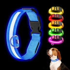 LED Light Up Dog Collar Rechargeable Waterproof, Glow in Dark Dog Collar, Lighted Dog Collars for Night Walking Charging USB, Safety for Small Medium Large Dogs (M, Blue)