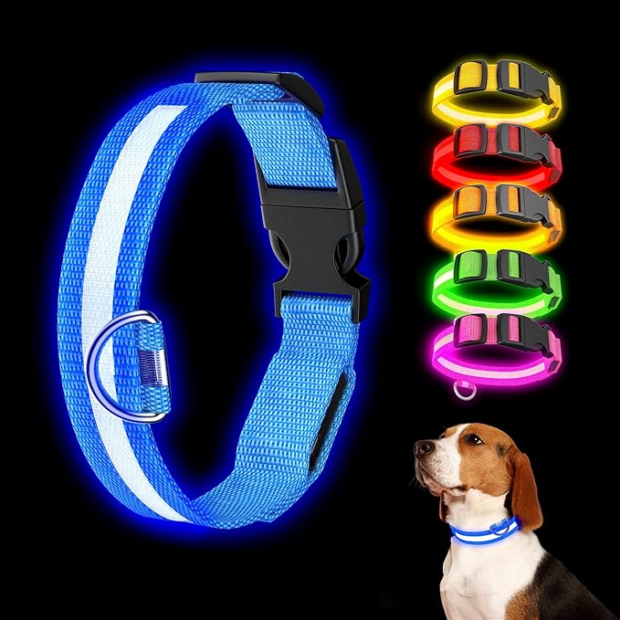 LED Light Up Dog Collar Rechargeable Waterproof, Glow in Dark Dog Collar, Lighted Dog Collars for Night Walking Charging USB, Safety for Small Medium Large Dogs (M, Blue)