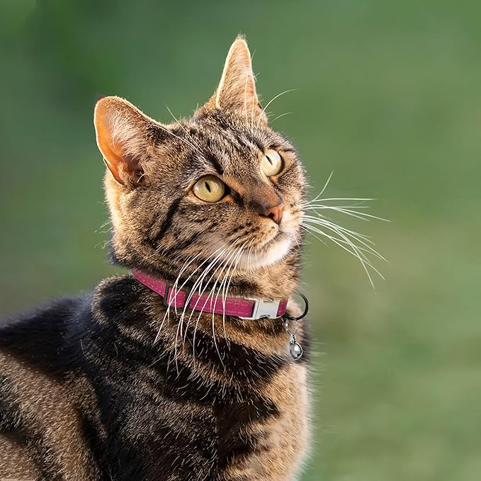 Leather Cat Collar with Buckle and Removable Bell - Non Breakaway Adjustable Soft Safety Small Pet Collars for Girl Boy Cats Kitten (Pink)