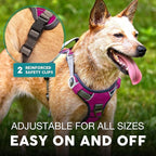 Embark Adventure Dog Harness, Reflective Trim No Pull Dog Harness for Large Dogs - Military Grade Nylon, Front Clip with Gel Lined Handle.