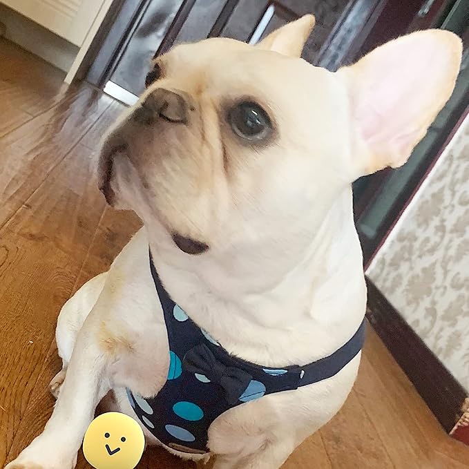 Puppytie No Pull Small Dog Harness with Multifunction Dog Leash,Lightweight Soft Adjustable No Choke Escape Proof Pet Harness Vest Pet Harness Vest,Polka dots Starry Sky,S