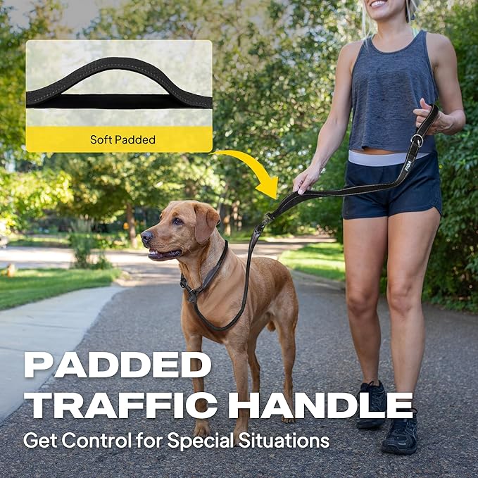 Fida 2-in-1 Slip Leads for Dogs with Double Handles, Tangle Free Leash for Large Dogs That Pull, Heavy Duty No Pull Training Leash Reflective Soft Padded for Large & Medium Breed(6ft,Black)