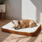Deconovo Orthopedic Dog Bed for Medium & Large Dogs – Supportive Memory Foam with Washable Cover, Non-Slip Base – Comfort for Senior, Arthritic & Active Pets, White and Orange Side, 44" Lx32 Wx3 Th